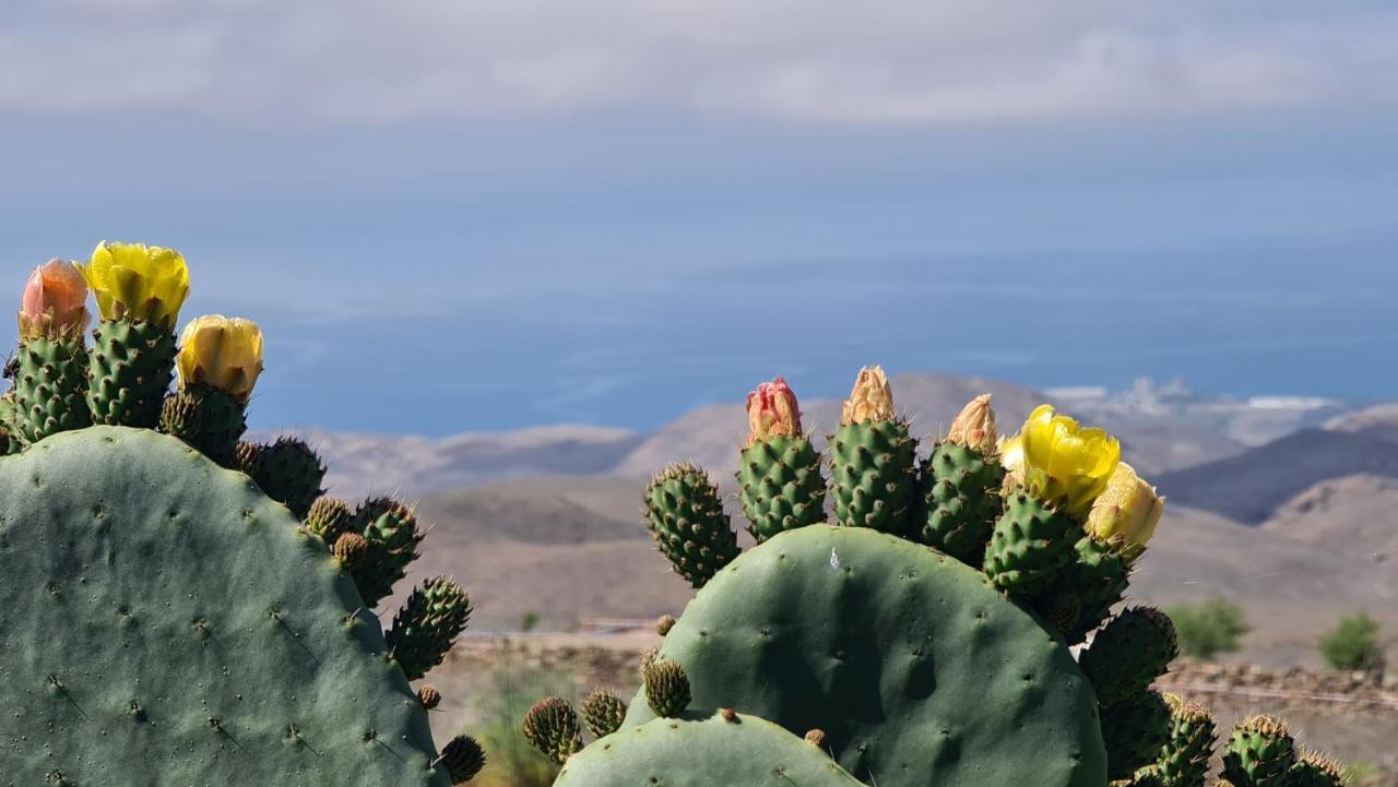 Puerto Rico Top Teide And Amadores View Экстерьер фото